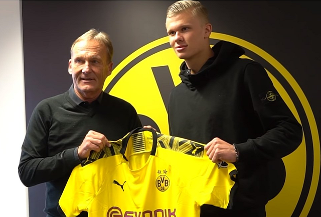 球迷票选最受欢迎球星前十（球迷投票选出人气球星十强）