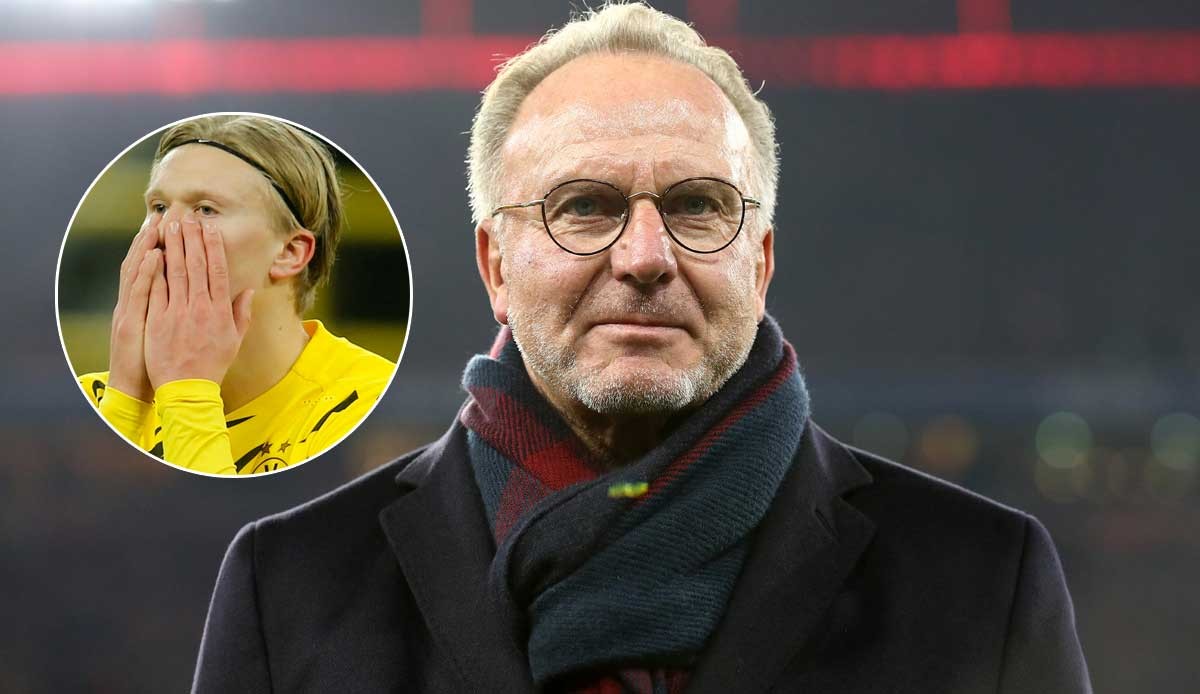 韦世豪社媒祝大家假期愉快，刘殿座留言调侃：樱木假期愉快（韦世豪社媒送上假期祝福，刘殿座打趣留言：樱木假期快乐）